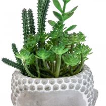 Künstliche Sukkulenten Blumentopf Buddha Ø12cm H24cm