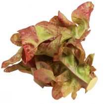 Artikel Lollo Rosso Dekosalathaupt