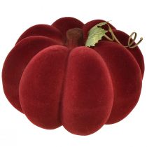 Artikel Kürbis Deko beflockt Kürbis Rot Burgund Samtige Optik 20cm 2St