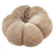 Artikel Kürbis Deko Stoffkürbisse Gelb Beige Rotbraun Ø7cm 9 St