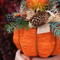 Artikel Kürbis Pflanztopf aus Sisal mit Innenfolie für Herbstdeko