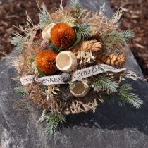 Artikel Kunstblumen Banksia mit Metallkern flexibler Stiel 3 Stiele Orange