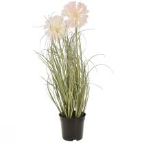 Artikel Kunstblumen Deko Kugelblume Allium Zierlauch künstlich 54cm