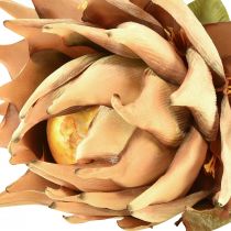 Artikel Kunstpflanze Artischocke Creme Dry Look Ø15cm 73cm