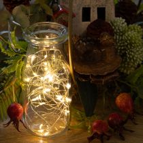 Artikel LED Lichterkette Batteriebetrieben Warmweiß 30 LEDs 3m Set mit 6 Stk
