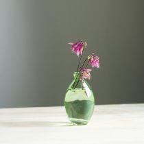 Artikel Minivasen Glas Bauchig Glasvasen Grün getönt H12cm 6 St