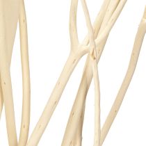 Artikel Mitsumata Zweige Weiß 34-60cm 12St