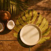 Artikel Monstera Blätter getrocknet 5 Stück H50cm