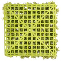 Artikel Moos künstlich Moosmatte – Perfekt für Moosbild Hellgrün 25×25cm