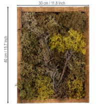 Artikel Moosbild mit Rahmen aus konserviertem Moos und Zweigmotiv 40×30 cm