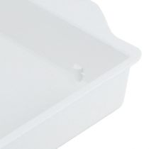 Artikel OASIS® Steckschale Weiß Sandwich Schale 23×11×2,5cm 25 St