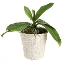 Artikel Orchideenblätter mit Luftwurzeln Künstlich 34x8x18cm