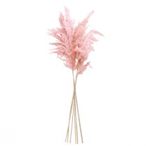 Artikel Pampasgras getrocknet Rosa 65-75cm Trockenblumen Deko 6 St.