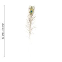 Artikel Pfauenfedern dekorativ für vielseitige Projekte 8 Stück
