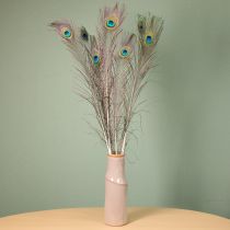 Artikel Pfauenfedern Deko Echte Vogelfedern lang 75-85cm 8 St