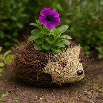Artikel Pflanzgefäß Igel aus Reben für Herbstdeko