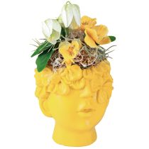 Artikel Pflanzkopf Büste Polyresin Übertopf Gelb 13,5×13×14cm