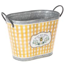 Artikel Pflanzkübel oval Metall 38×24×29cm kariert mit Bienenmotiv für Balkon und Terrasse