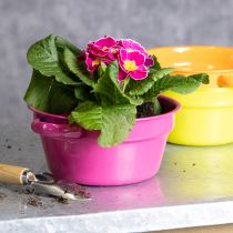 Artikel Pflanzschale Metall Originelles Design für gehobenes Wohnambiente und stilvolle Deko 17cm 3St