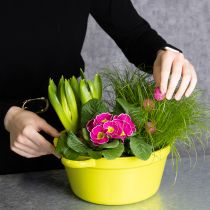 Artikel Pflanzschalen aus Blech mit Henkeln Ø25cm in Rosa, Grün und Orange (3er Set) für Innenbereich