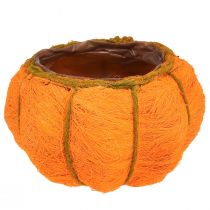 Pflanztopf Kürbis Deko Orange/Gelbgrün Sisal Ø21cm H12cm
