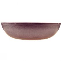 Artikel Runde Kunststoffschale in Lila 37x10,5 cm – 3er-Set