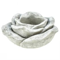 Artikel Rose Grabdeko Tischdeko Kerzenhalter Grau Weiß Ø14cm H7cm