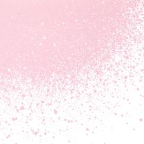 Artikel Sprühfarbe Lack Montana Gold Rosa Frozen Raspberry 400ml