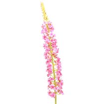 Artikel Steppenkerze Wüstenschweif Pink 106cm