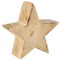 Artikel Rustikaler Deko-Stern aus Paulowniaholz – Natürliches Design, Ø 15 cm, 6 cm Dicke – Vielseitige Holzdeko – 2St