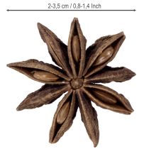 Artikel Sternanis getrocknet Naturdeko 500g braun