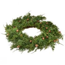 Artikel Tannenkranz Thuja mit Knospen Basis Rebenkranz Ø50cm