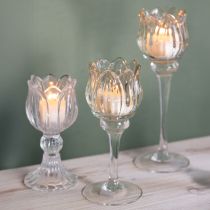Artikel Teelichthalter aus Glas in Blumenform, 17 cm hoch, klar