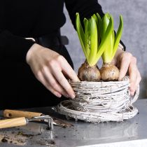 Artikel Teetasse aus geflochtener Weide 13cm Weiß-Grau Dekoration