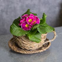 Artikel Teetassenkorb aus Bast mit Kunststofffolie, 15 cm Durchmesser, Naturfarben