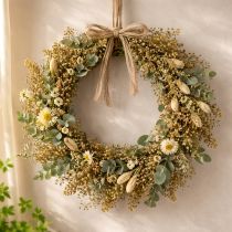 Artikel Trockenblumen Broom Bloom Olivgrün 160g 48cm