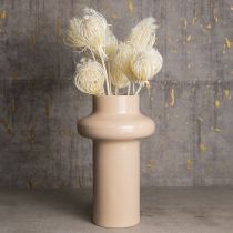 Artikel Gebleichte Trockenblumen Fenchelstrauß 10 Stiele dekorativ