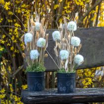 Artikel Übertopf Pusteblumen Blumentopf Schwarz Ø12,5cm H14cm