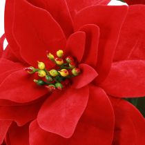 Artikel Künstlicher Weihnachtsstern Rot 55cm 2 Stück