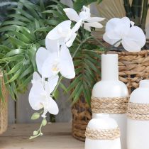 Artikel Weiße Orchidee Künstlich Phalaenopsis Real Touch H83cm