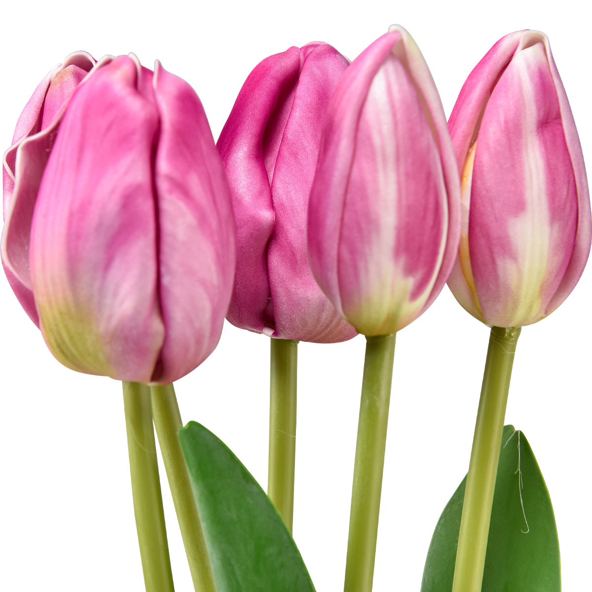 deko mit tulpen und ästen