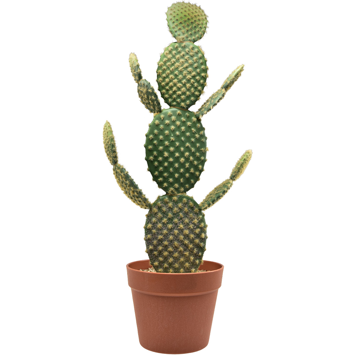 Deko Kaktus Künstliche Topfpflanze Feigenkaktus 64cm-801188