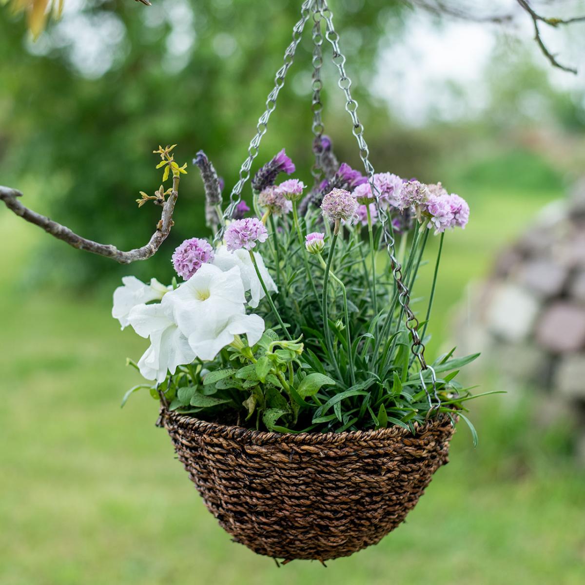 Bornhöft Metall Blumenampel – Hängekorb Aus Edelrost, 30 Cm Durchmesser, Vollmaterial, Mit Integriertem Haken, Handgefertigt, Für Garten & Balkon, Natürliche Rostpatina