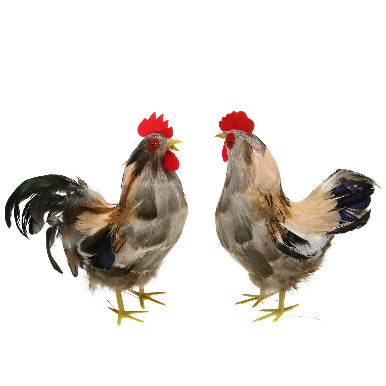 50 Stück Perlhuhn Federn – Bunt, 5-10 Cm, Für Basteln & Deko