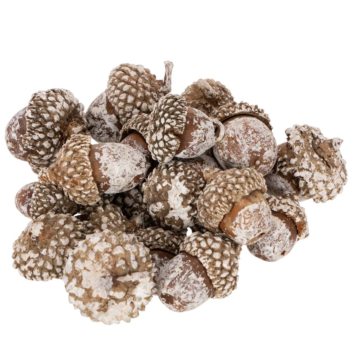 Weiße Eicheln 1-3 cm 300 g für Innendeko