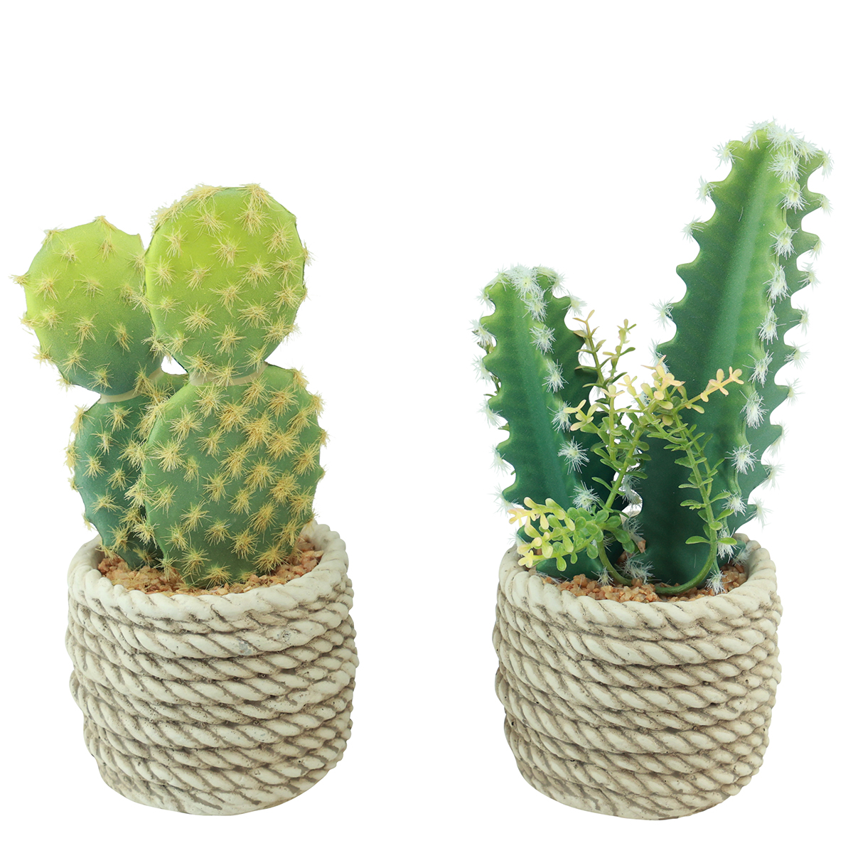 gummibaum günstig kaufen SPECIAL OFFER Großer Gummibaum, 100cm – Green Me Up