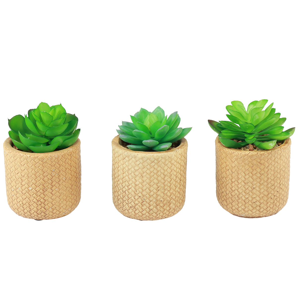 Knstliche Sukkulenten im Topf 10 cm 3er-Set grn beige | Floristik24