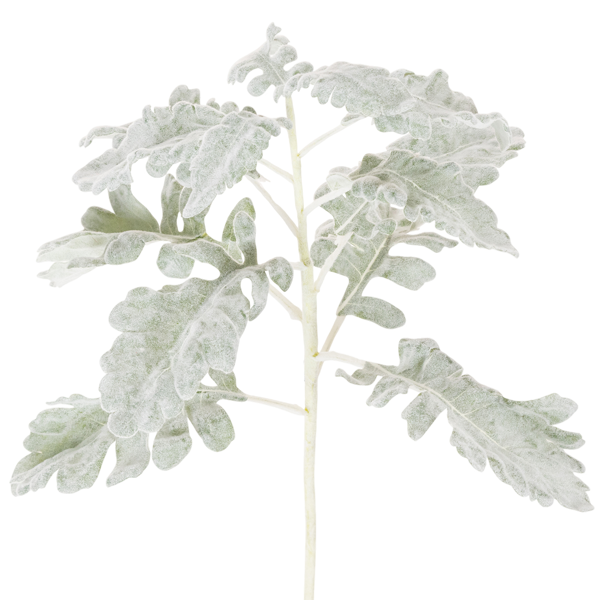 Künstlicher Senecio-Zweig Grau 45 cm 3er-Set