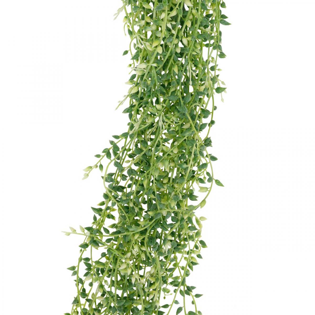 Floristik24.at Grün 96cm-11943 Hängepflanze künstlich hängend Sukkulente