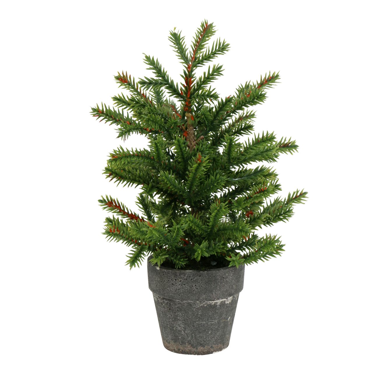 Floristik24.at Tannenbaum im Topf Grün 23cm87667